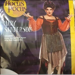 Mary Sanderson costume
